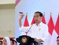 Pemilihan Kepala Daerah 2024: Refleksi Demokrasi dan Harapan Warisan Jokowi