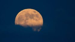 Supermoon September 2024: Apa yang Terjadi pada Gravitasi Bumi?