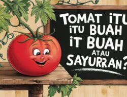 Tomat Itu Buah atau Sayuran? Ini Penjelasan Ilmiah dan Faktanya di Dapur