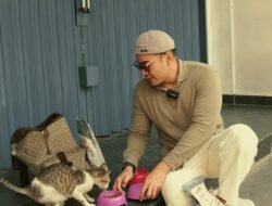 Robby Purba Lakukan Aksi Peduli Kucing Jalanan dengan Street Feeding