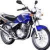 Yamaha Scorpio Z dan Honda Tiger: Perbandingan yang Menarik