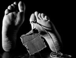 Wanita Penyedia Jasa Open BO Tewas: Pembunuhan yang Mengguncang Sidrap