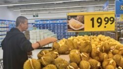 Penyelundupan Durian Ilegal: Ancaman Terhadap Ekonomi Lokal