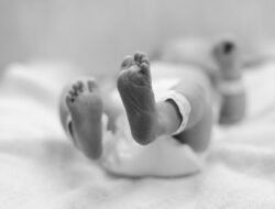 Kasus Mengerikan: Bayi Terpotong Tiga Ditemukan di Ngarai Sianok