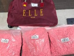 Penyelidikan Mendalam: Jaringan Ekstasi Terungkap di Tol Sumatera