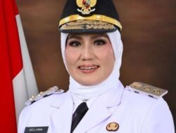 Skandal Ijazah Palsu: Tersangkanya Wagub Bangka Belitung, Hellyana