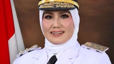 Skandal Ijazah Palsu: Tersangkanya Wagub Bangka Belitung, Hellyana