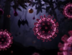 Virus Nipah Kembali Jadi Perhatian Global, Ini Penjelasan Lengkap soal Gejala, Penularan, dan Risiko Kematian