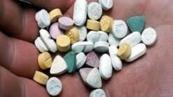 Whiterabit Terbongkar: Dari Pelayan hingga Direksi, Peredaran Narkoba di Klub Malam Terungkap