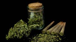 Polisi Ungkap Peredaran 10 Kg Ganja di Jakarta Barat