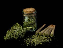 Polisi Ungkap Peredaran 10 Kg Ganja di Jakarta Barat