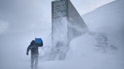 Svalbard Global Seed Vault: Gudang Benih di Ujung Dunia yang Disiapkan Saat Peradaban Terancam