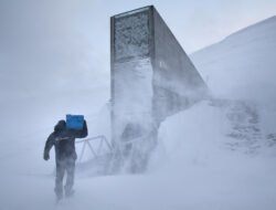 Svalbard Global Seed Vault: Gudang Benih di Ujung Dunia yang Disiapkan Saat Peradaban Terancam