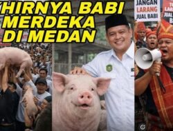 Protes Pedagang Daging Babi di Medan: Suara untuk Keadilan dan Keberlangsungan Ekonomi